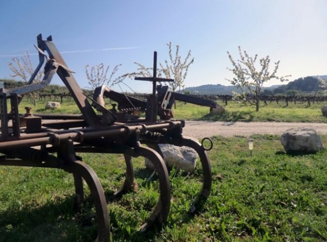 carruaje en el cesped